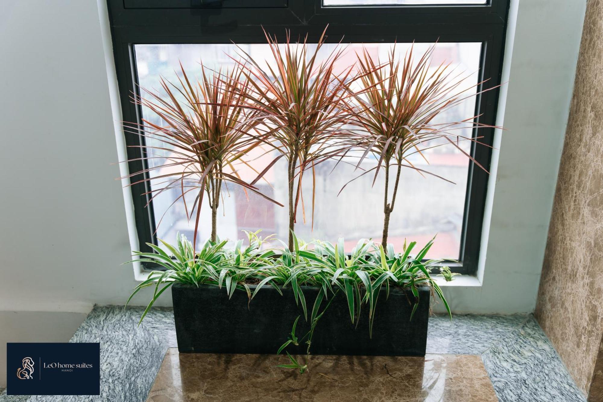 Home Suites -Natural Light -Projector -Spacious - 2Br Incenter Hanoi Esterno foto