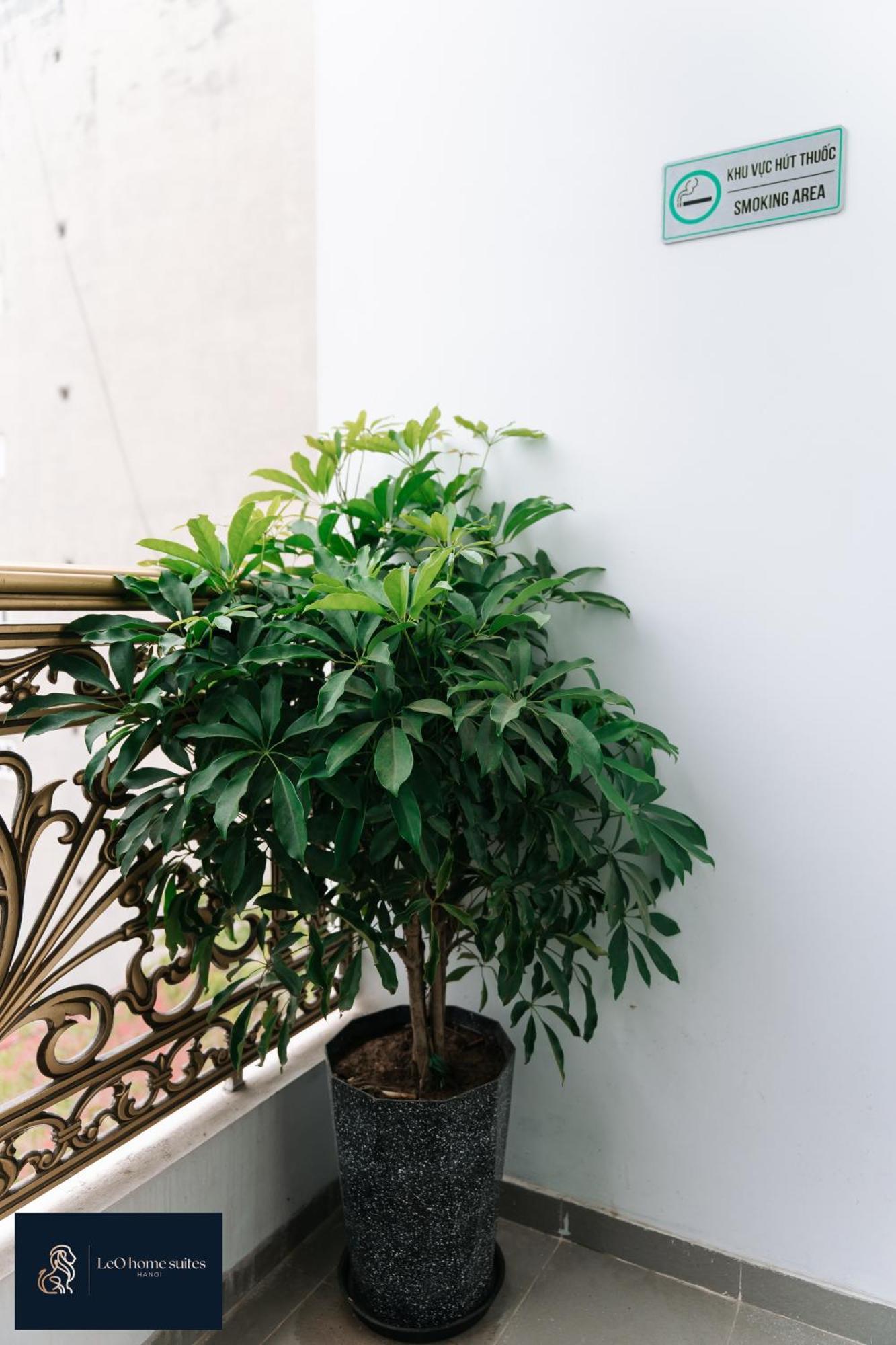 Home Suites -Natural Light -Projector -Spacious - 2Br Incenter Hanoi Esterno foto